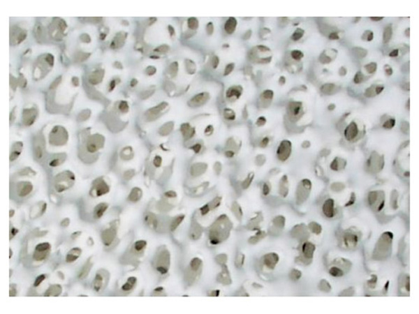 Pori Alumina Ceramic Foam Filter